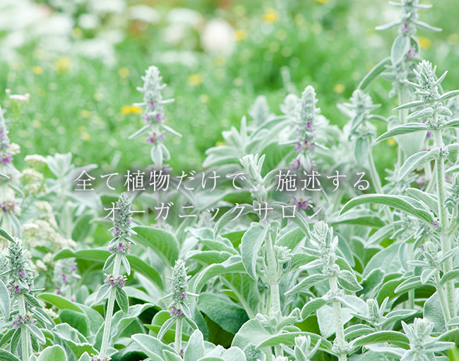 ナチュラル,美容室,読谷,アスマラ