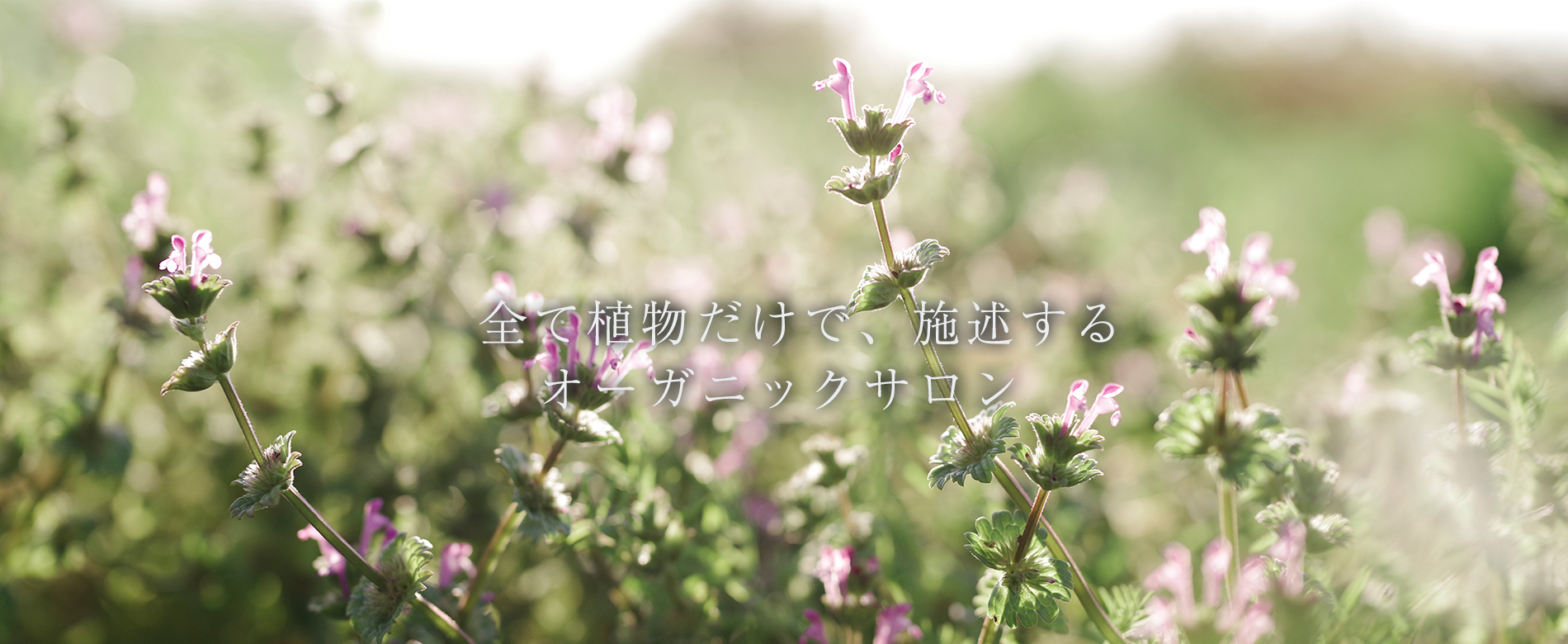 ヘナカラー,美容室,読谷,アスマラ