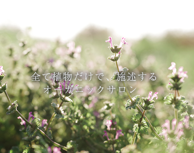 自然,美容室,読谷,アスマラ